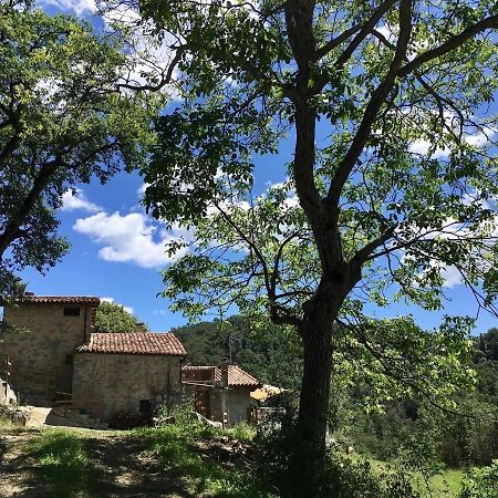 Can Poca Roba Sant Pere de Torello ภายนอก รูปภาพ