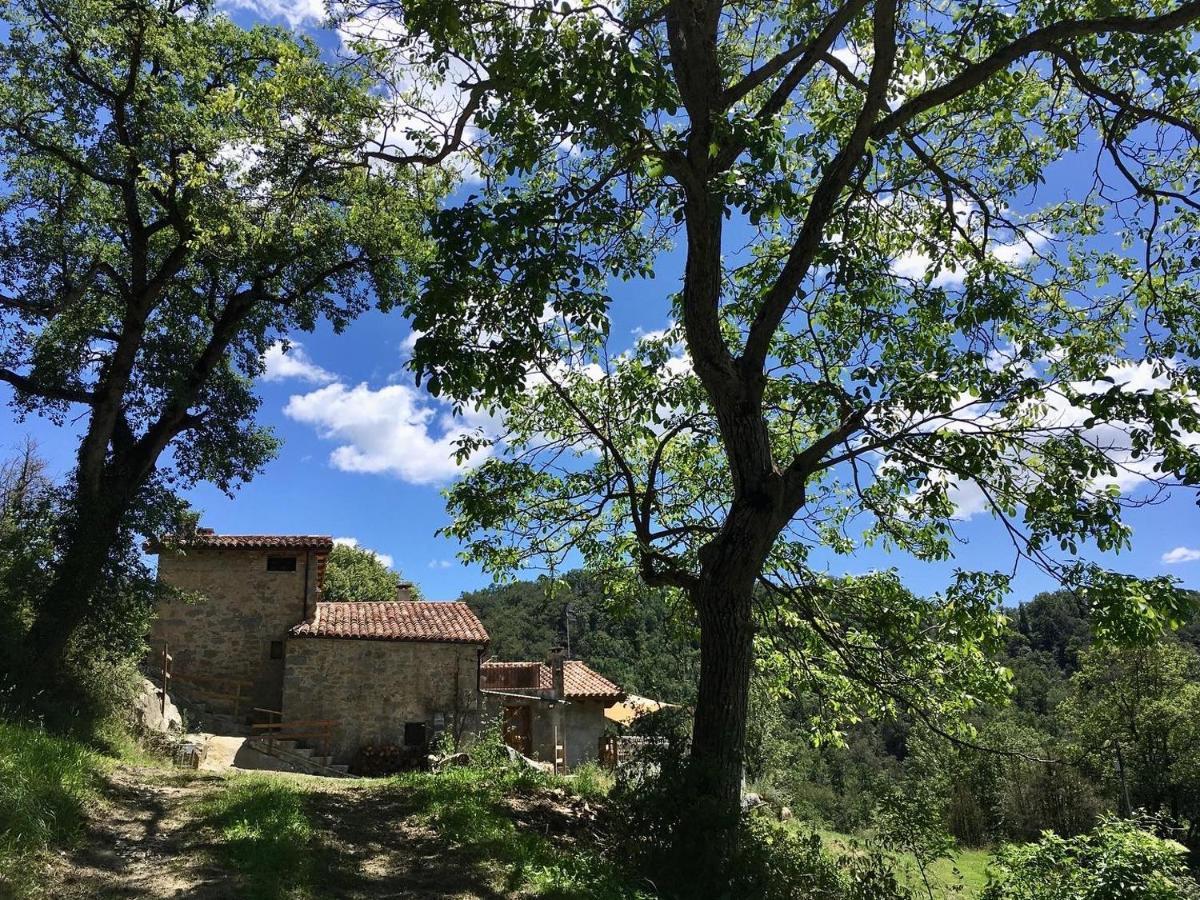 Can Poca Roba Sant Pere de Torello ภายนอก รูปภาพ